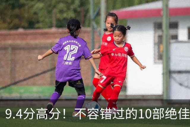 9.4分高分！不容错过的10部绝佳特工剧